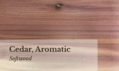 Cedar, Aromatic wood sample photo