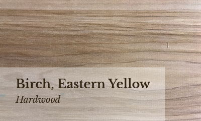 Birch, Eastern Yellow Wood sample photo