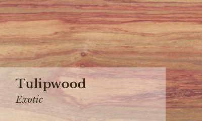 Zebrawood Wood sample photo