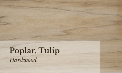 Poplar, Tulip Wood sample photo